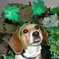 Donna Gruber Photo 17