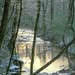 Edwin Vaughn Photo 11