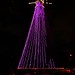 Lesley Robinson Photo 8