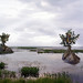 Robert Mattingly Photo 14