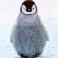 Kevin Truong Photo 37