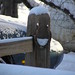 Deborah Lathrop Photo 16