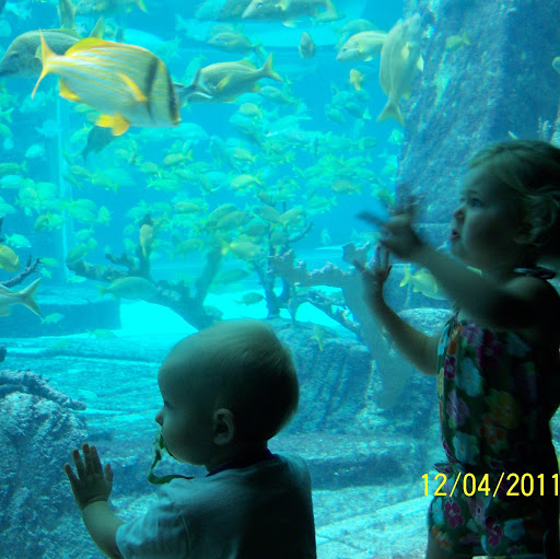 Janice Estes Photo 32