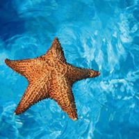 Denisse Guzman Photo 14