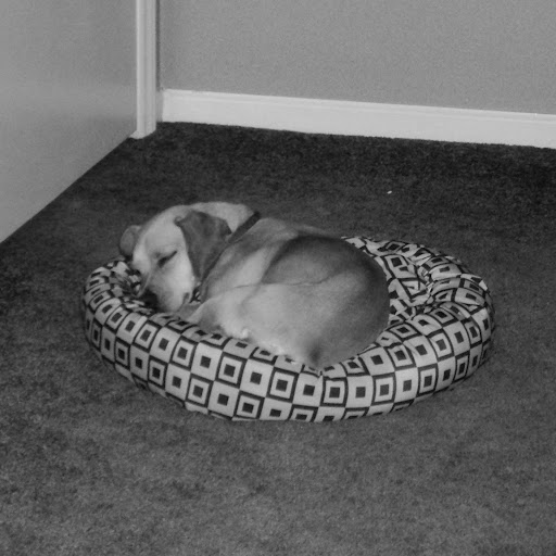 Christian Bateman Photo 15