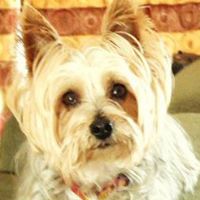 Jeanette Clark Photo 23