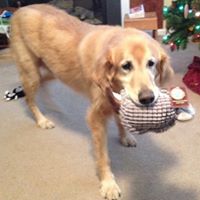 Michele Parks Photo 27