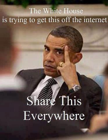 Robert Tuttle Photo 46 Robert Tuttle Photo 46