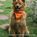 Sadie Stone Photo 30