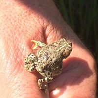 Bryan Gordon Photo 36 Bryan Gordon Photo 36