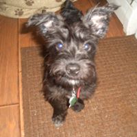 Kathi Hibbs Photo 10