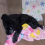 Susan Gagnon Photo 42