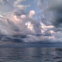 Katharine Steele Photo 5