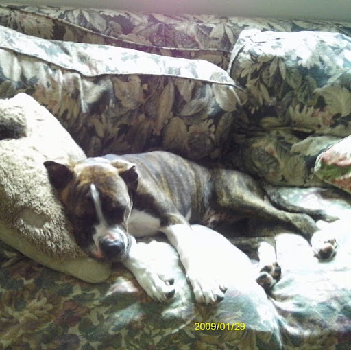 Julia Mcnally Photo 12