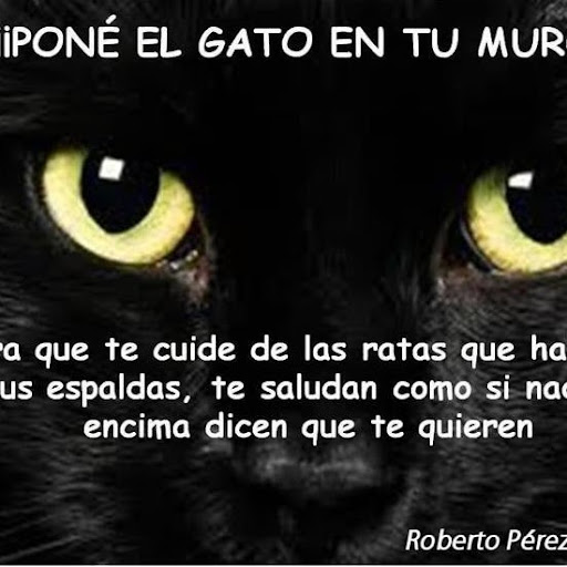 Elena Paredes Photo 26