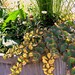 Kathy Brown Photo 42