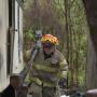 Michael Towne Photo 26