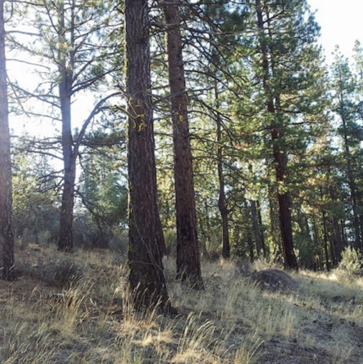 Joshua Hoover Photo 48 Joshua Hoover Photo 48