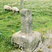 Eric Cross Photo 18