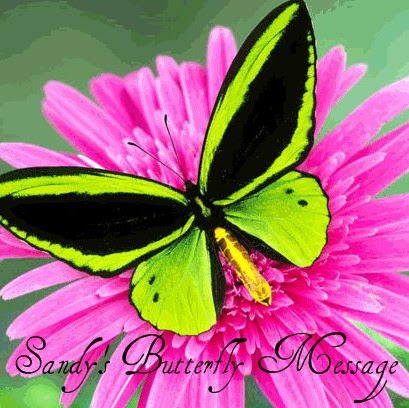 Sandy Proctor Photo 8