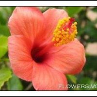 Jane Byrnes Photo 12