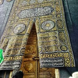 Tamer Nassar Photo 16