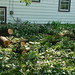 Paula Harmon Photo 11