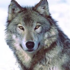 Carolyn Weber Photo 17