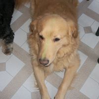 Terrie Mcclure Photo 2