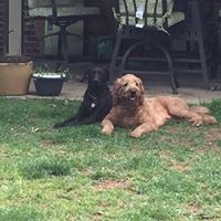 Susan Aldrich Photo 22