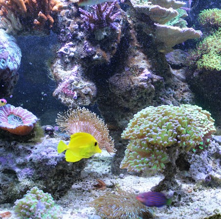 Jerry Larson Photo 3