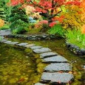 Linda Archibald Photo 25