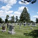 Mark Trimmer Photo 34