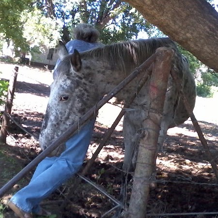 Brenda Prince Photo 27