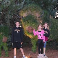 Mark Witmer Photo 14