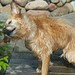 Billy Shook Photo 14