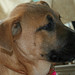 Cherie Montgomery Photo 18
