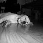 Chad Erwin Photo 18