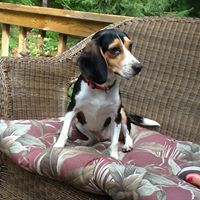 Connie Flynn Photo 21