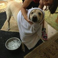 Yudith Webber Photo 1