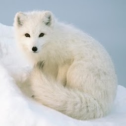 Kathleen Burns Photo 18