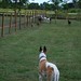 Aaron Goins Photo 36