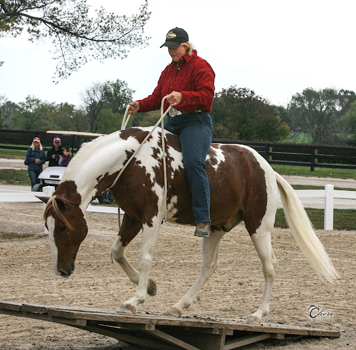 Tracy Porter Photo 34