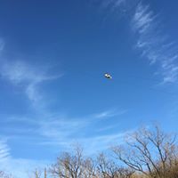 Victoria Hicks Photo 12