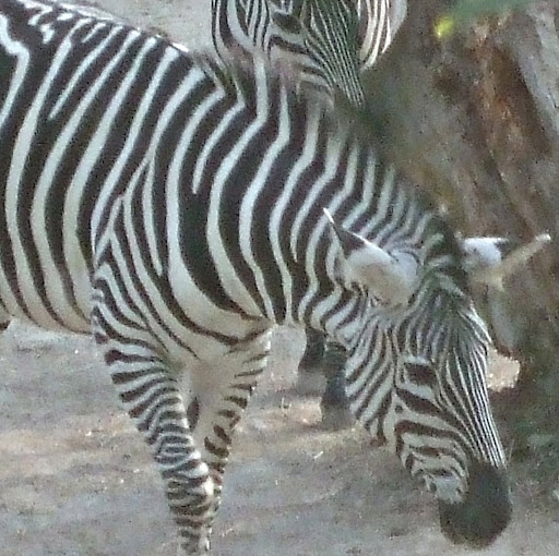 Victoria Boone Photo 7