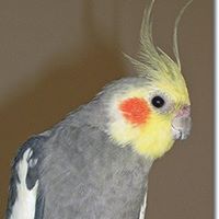 Jane Gleason Photo 11