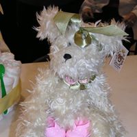 Tammy Alger Photo 23