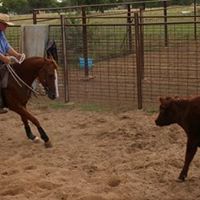 Steve Colwell Photo 13