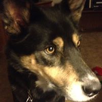 Elizabeth Livingston Photo 27