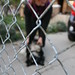 Diane Ogden Photo 41